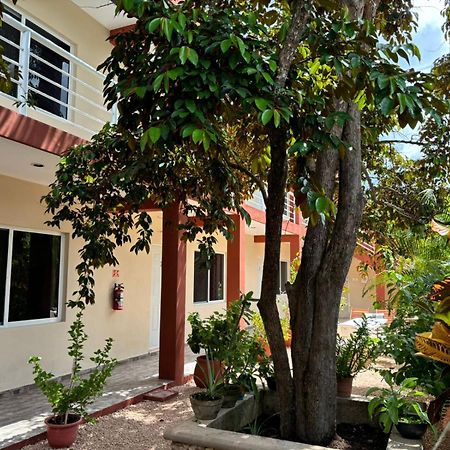 Casa Del Cenote Hotel Valladolid  Kültér fotó
