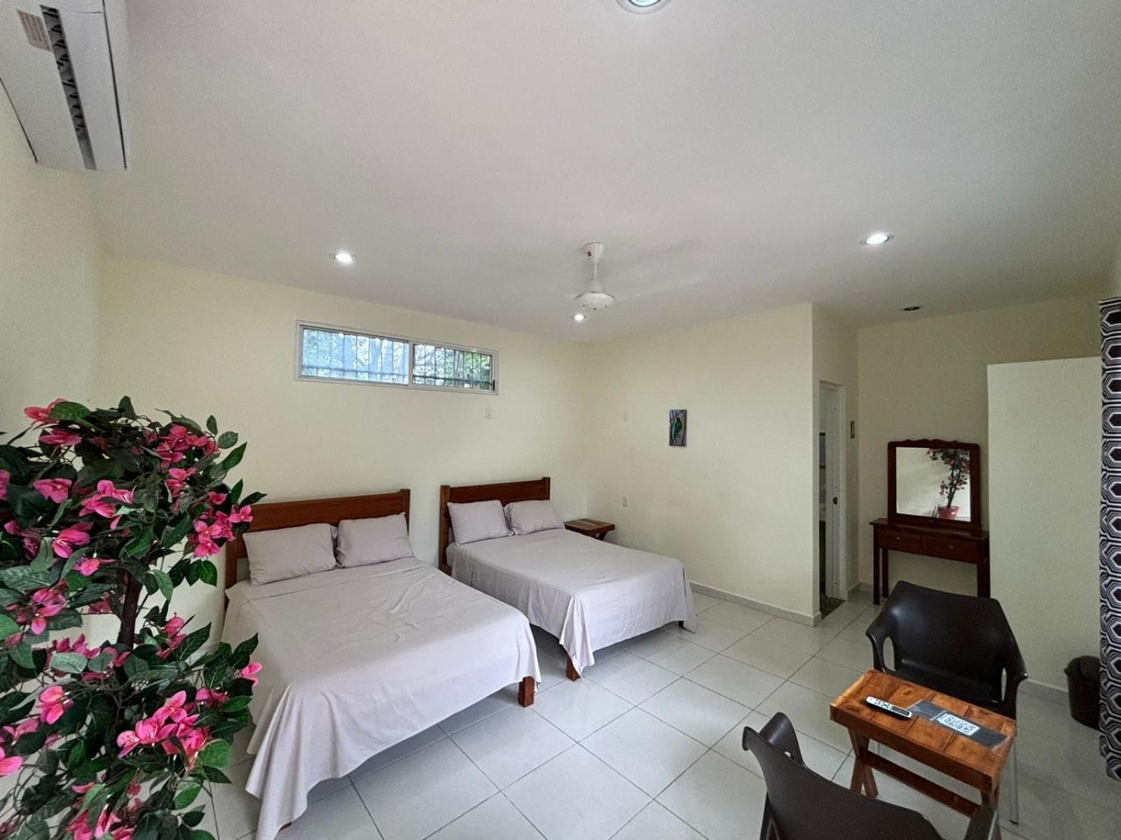 Casa Del Cenote Hotel Valladolid  Kültér fotó