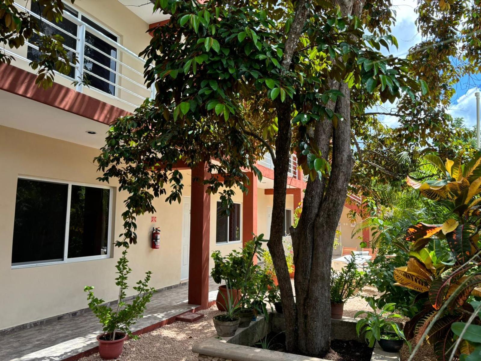 Casa Del Cenote Hotel Valladolid  Kültér fotó